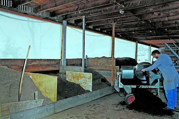 Der Baumart angepasstes Substrat mischen