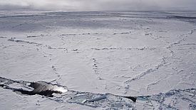 The fortress floe. Photo: L. Nixon