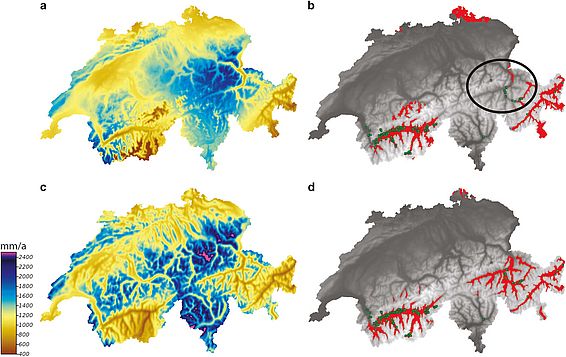 Die vier Karten zeigen Verbreitungsmodelle der trockenliebenden Pflanze Französischer Tragant (Astragalus monspessulanus), errechnet mit Klimadaten von WorldClim (oben) und CHELSA (unten). Die grünen Punkte zeigen die tatsächlichen Vorkommen. Der Kreis zeigt das trockene Rhonetal, wo WorldClim die Niederschläge überschätzt und damit die Verbreitung der Pflanze nicht korrekt vorhersagt. (Grafik: D. Karger et al., 2017)