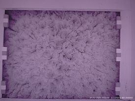 Figure 4: Near infrared (NIR) image of a drained melt pond bottom. Photo: A.Macfarlane