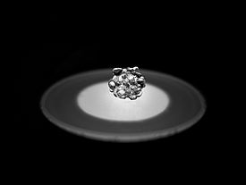 Figure 2 A cluster of rounded grains approx. 1cm diameter. Photo: A.Macfarlane