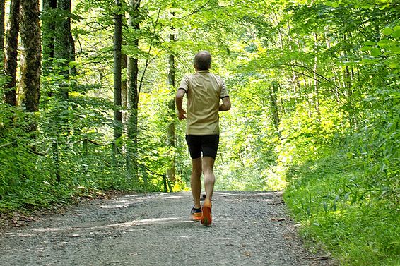 Mann joggt auf einem Waldweg, umgeben von dichtem grünem Laub.