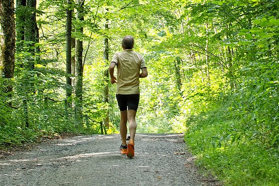 Mann joggt auf einem Waldweg, umgeben von dichtem grünem Laub.