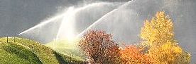 Eine Bergwiese wird bewässert. Am Rand der Wiese stehen Bäume, deren Laub schon Herbstfärbung zeigt.