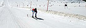 Skifahrer in roter Jacke und blauer Hose fährt auf präparierter Skipiste im Schnee.