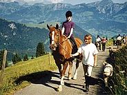 Reiten im Diemtigtal (Bild: Regionaler Naturpark Diemtigtal)