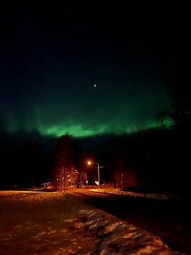 Grünes Nordlicht am Nachthimmel über einer schneebedeckten Straße mit Straßenlaternen und Bäumen