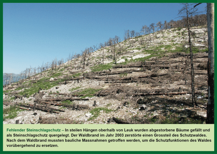 In einem Hang liegen quer angeordnet abgestorbene Bäume, die nach einem Waldbrand gefällt wurden.