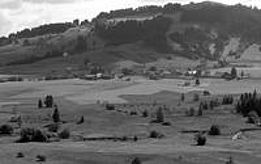 Moor in Rothenthurm SZ. Zehn Jahre nach den ersten Moorinventaren durch die Centralanstalt sollte aus diesem Moor in Rothenthurm SZ ein Waffenplatz werden. Die Annahme der Volksinitiative 1987 verstärkte den Moor- und Biotopschutz markant aus. Foto: Margrit von Euw 