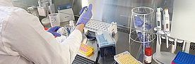 DNA-Analysen im Labor. Bild: Martina Peter, WSL