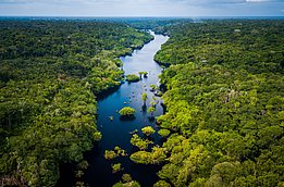 Luftaufnahme des Amazonas mit breitem Fluss und dichtem Regenwald an beiden Ufern