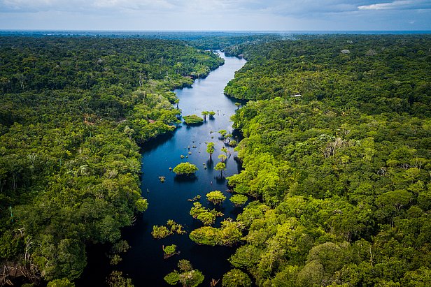 Luftaufnahme des Amazonas mit breitem Fluss und dichtem Regenwald an beiden Ufern