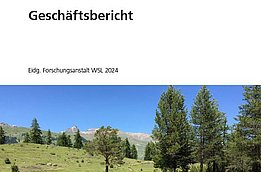 Titelblatt des Geschäftsberichts 2024 der Eidg. Forschungsanstalt WSL mit einer Landschaft aus grünen Wiesen, Bäumen und Bergen unter blauem Himmel