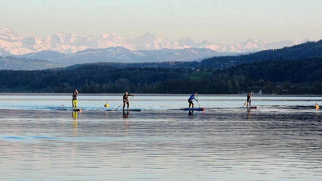 Vier Personen paddeln auf Stand-Up-Paddle-Boards auf einem ruhigen See in der Schweiz mit Bergen im Hintergrund