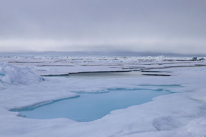 Melt ponds became deeper and started undercutting the ice. This image contains no snow! Photo: A.Macfarlane