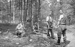 Mittagsbiwak im Toppwald (Emmental), eine der ältesten, über 100-jährigen Versuchflächen zur Untersuchung von Wachstum und Ertrag. 1905 begründet. Sitzend: Ph. Flury, der damalige Direktor der Centralanstalt. Foto: R. Glutz