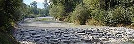Ein ausgetrocknetes Bachbett, umsäumt von Wald zeugt vom Hitzesommer.