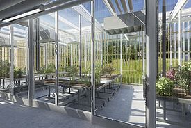 Das Gewächshaus (Visualisierung). Bild: WSL