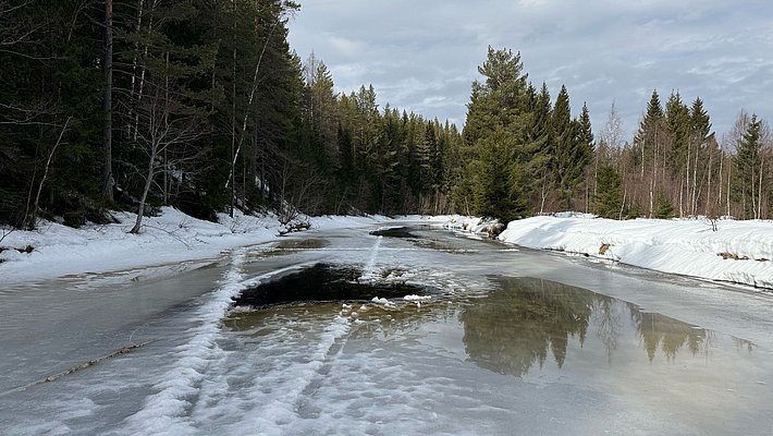 Gefrorener See mit schmelzendem Eis und Wasserpfützen, umgeben von schneebedecktem Boden und Nadelbäumen unter bewölktem Himmel
