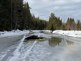 Gefrorener See mit schmelzendem Eis und Wasserpfützen, umgeben von schneebedecktem Boden und Nadelbäumen unter bewölktem Himmel