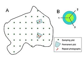 Diagram of the monitoring elements in an extensively monitored reserve.  A: General view of the reserve. B: Sampling plot and line transects. 