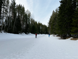 Zwei Personen gehen auf einem gefrorenen, schneebedeckten Fluss, umgeben von hohen Nadelbäumen unter bewölktem Himmel